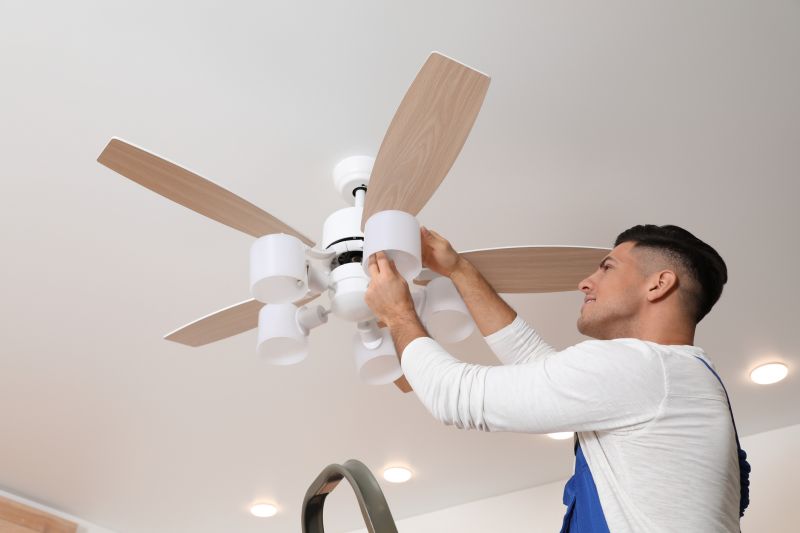 Ceiling Fan Repair detail